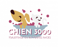 logo_chien-3000.png