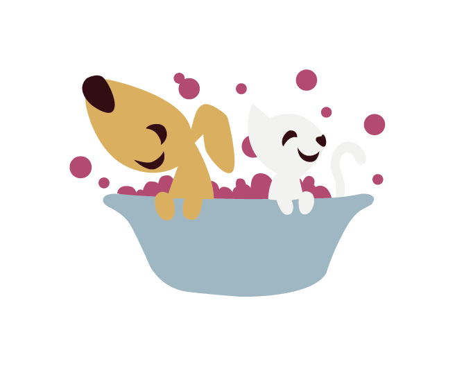 favicon.png